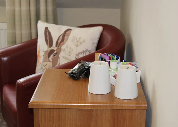 招待所 布兰特菲尔别墅酒店 4*